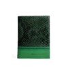 Portapasaporte PP002 Cobra Verde/Verde/Richatto Verde